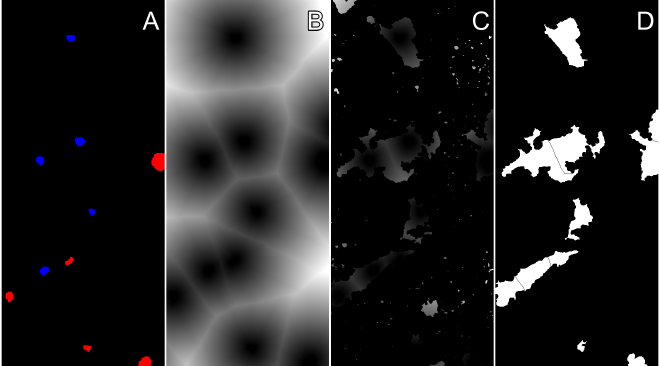 Steps of segmenting cell nucleus